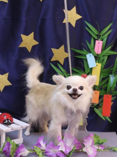 20230711りゅうくん